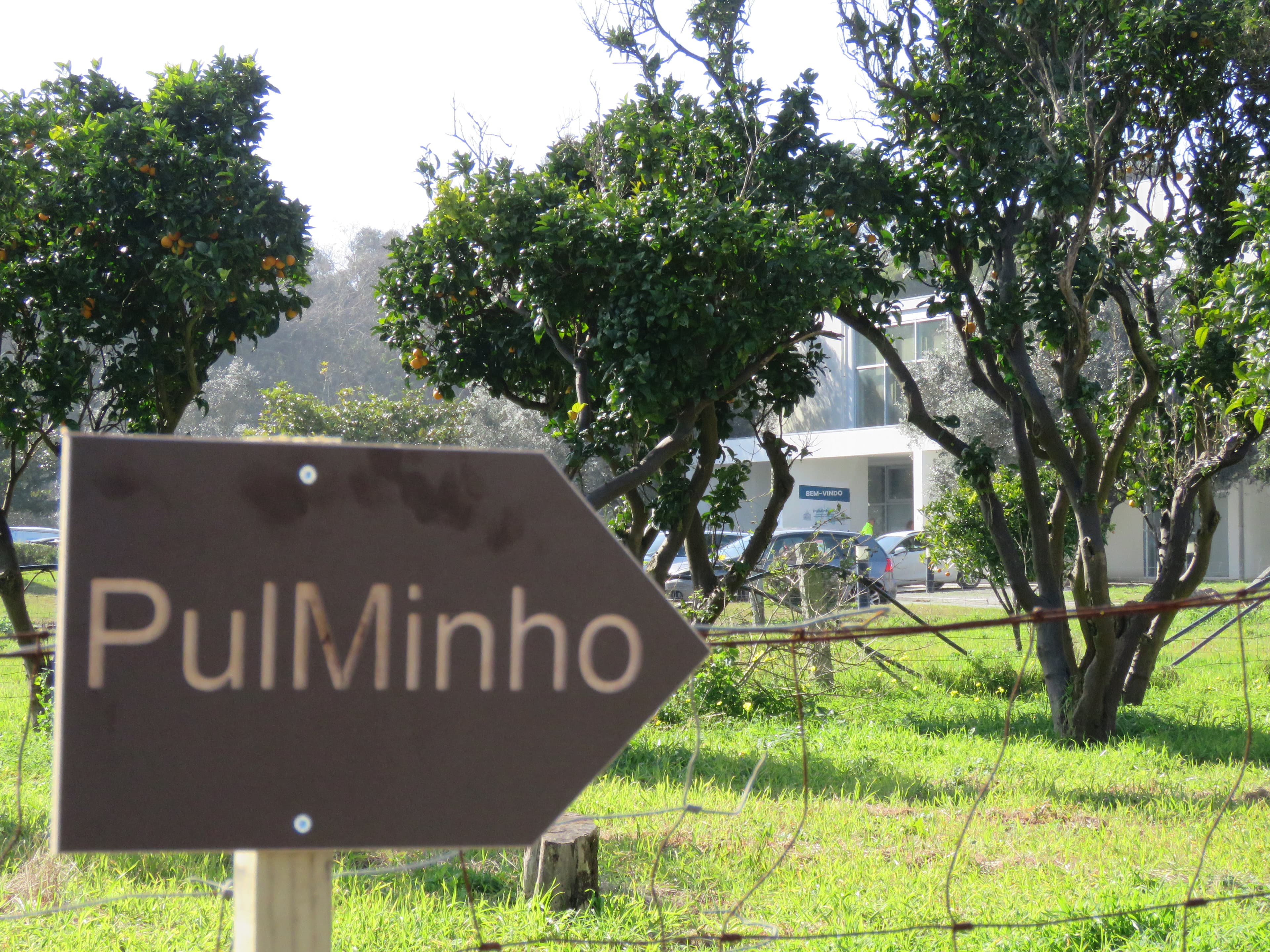 Foto das Jornadas PulMinho'26 (foto2.JPG)